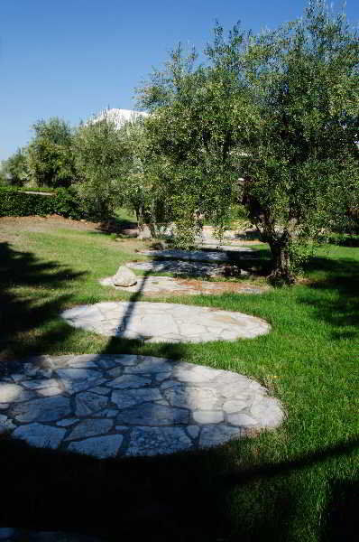 B&B Poggio Delle Ginestre Rutigliano Zewnętrze zdjęcie